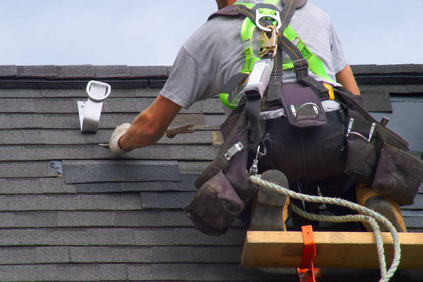 Best Metal Roofing Contractor  in Humboldt, TN