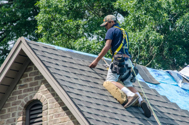 Best Local Roofing Companies  in Humboldt, TN